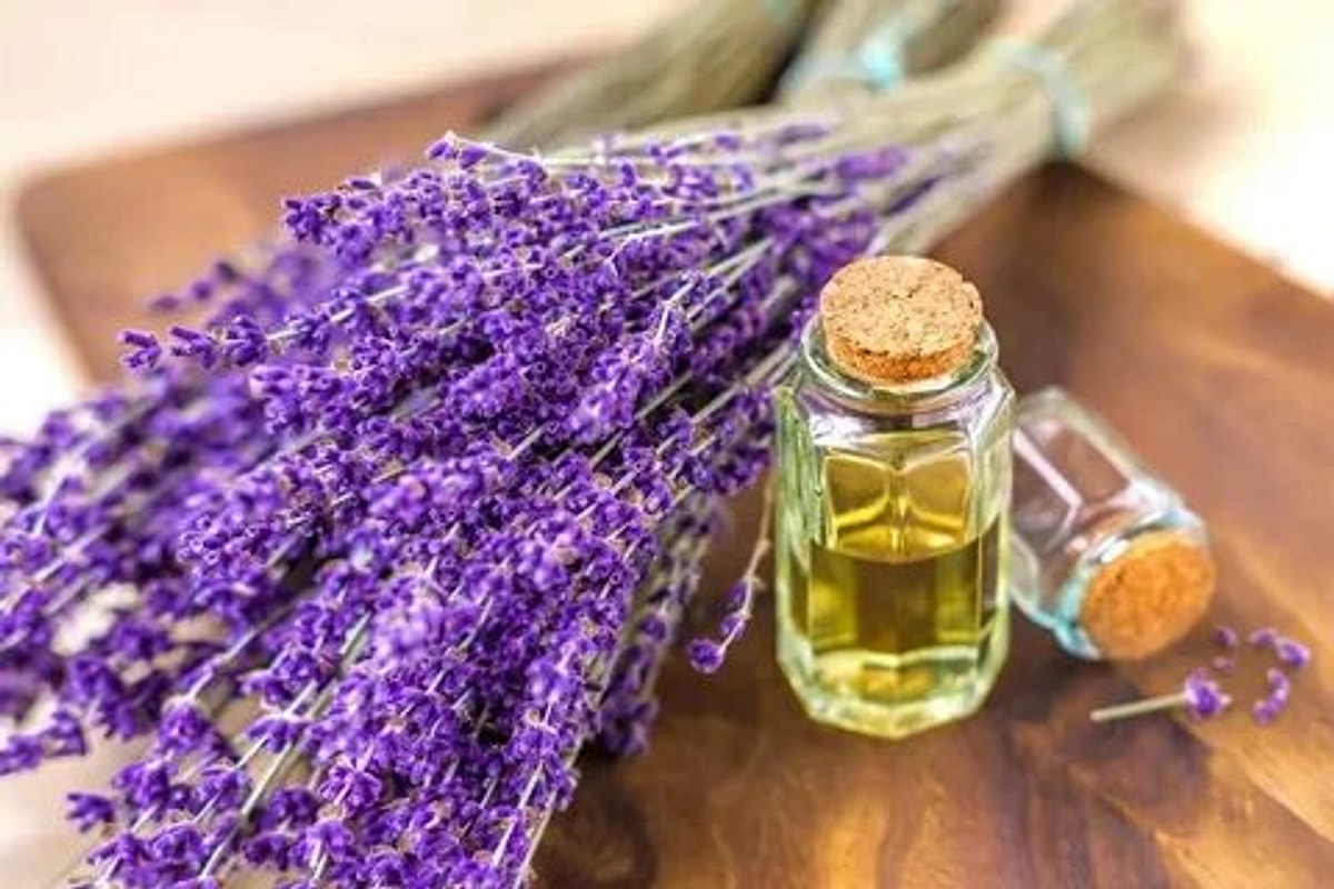 Масло лаванды